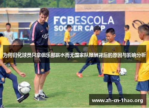 为何归化球员只拿俱乐部薪水而无国家队报酬背后的原因与影响分析