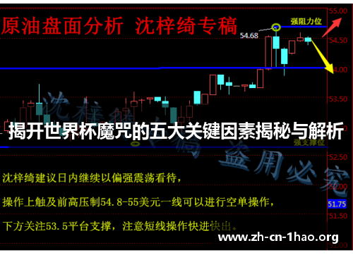 揭开世界杯魔咒的五大关键因素揭秘与解析